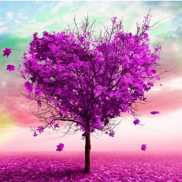 Meet Your Posher! - Picture 11 of 13